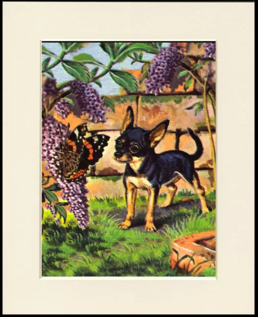 Chihuahua Lovely Little Dog Print Dog And Butterfly Mounted Ready To Frame