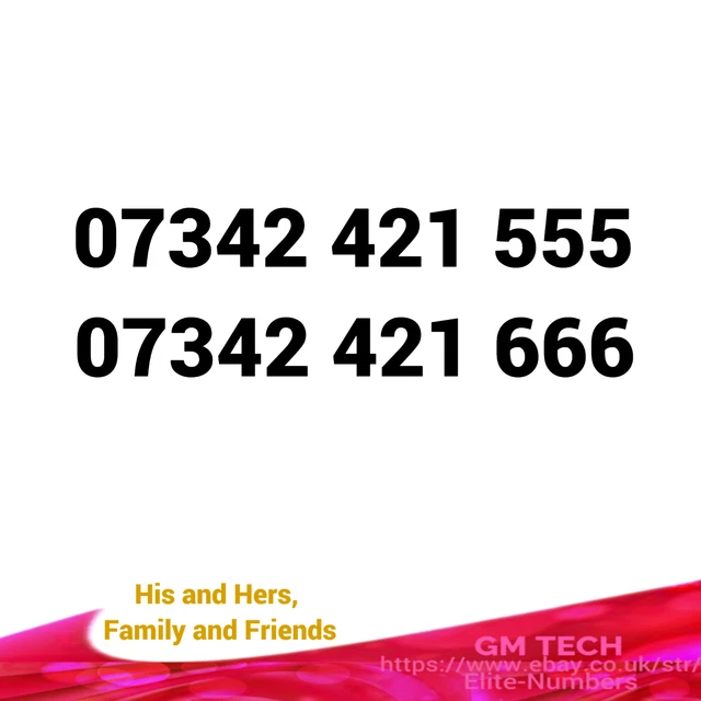 EASY MOBILE NUMBER x 2 MEMORABLE GOLD PLATINUM VIP UK PAY AS YOU GO SIM CARD