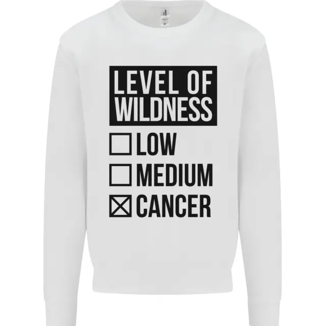 Levels of Wildness Cancer Kids Sweatshirt Jumper