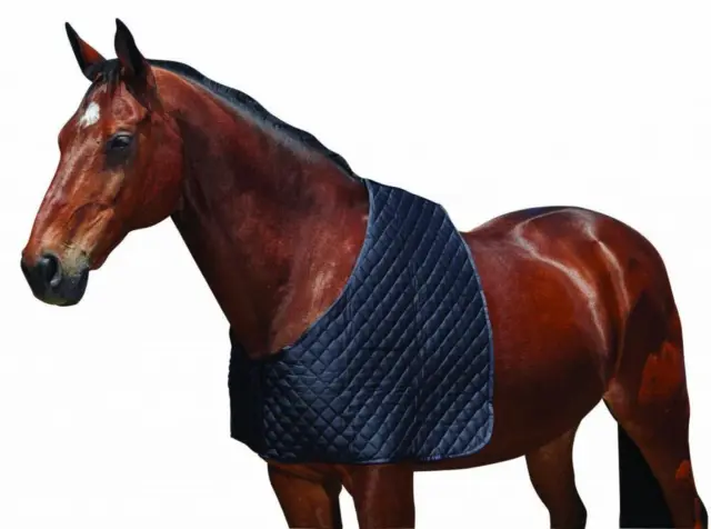 Weatherbeeta Deluxe Shoulder Guard | Horses & Ponies