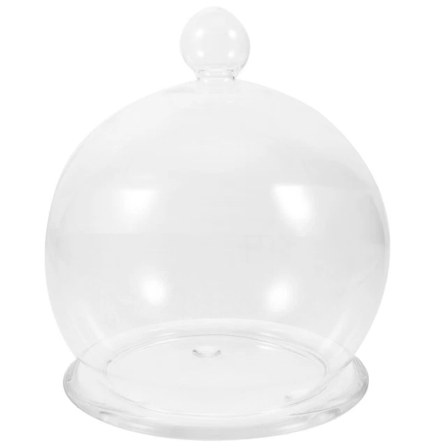 Cloche En Verre Avec Base Bois Pour Fleur Éternelle - Dôme Transparent 11.75x30.5cm, Décoration Élégante