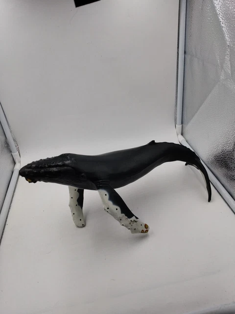 1991 Safari Ltd Monterey Bay Aquarium Humpback Whale PVC Realistic vintage 12.5” 2