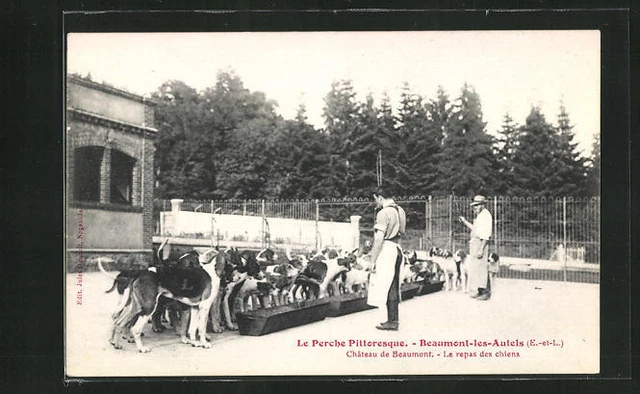 CPA Beaumont-les-Autels, Chateau de Beaumont, le meal des chiens