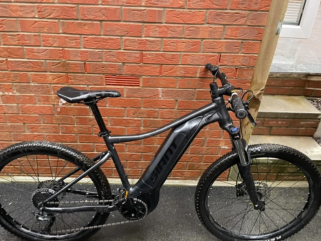 RIDDICK E BIKE MOUNTAIN Bike 900.00 PicClick UK