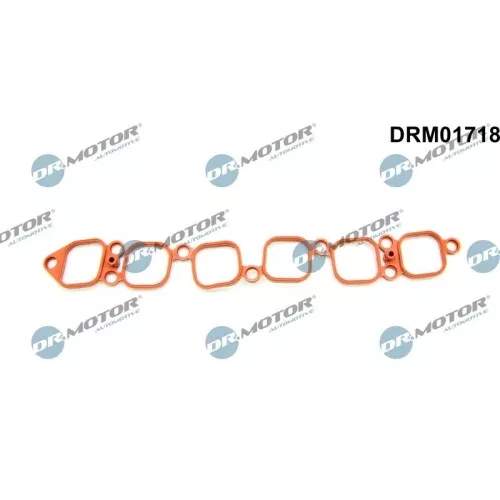 Dichtung, Ansaugkrümmer für AUDI PORSCHE VW DRM01718