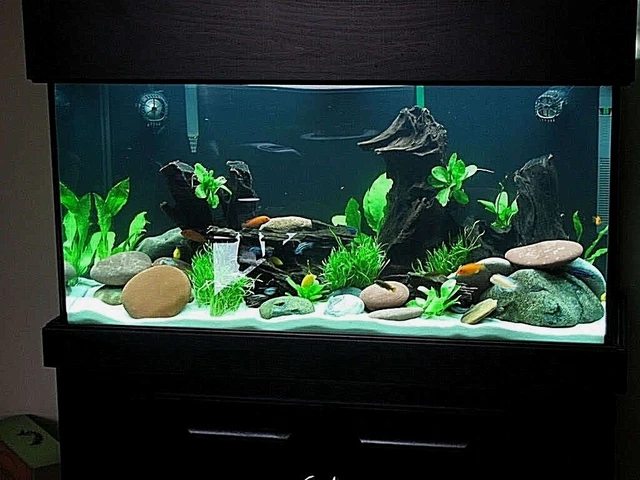 Super White Fish Tank Aquarium  Sand Cichlid / Crafts / Beta / Ant's   8 Lbs 10