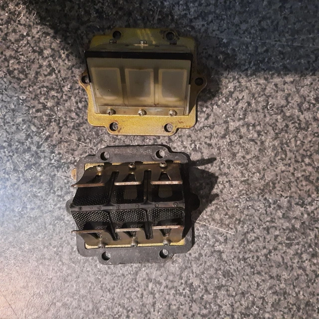 1989 Kx125 Reed Block X2