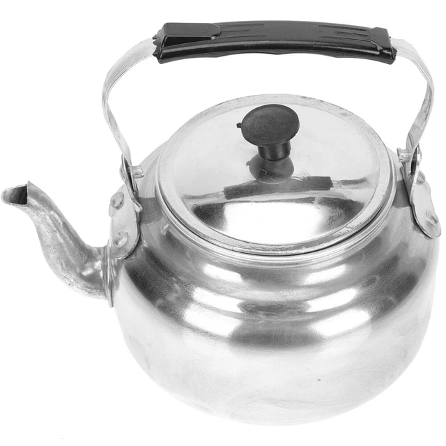 Water Kettle Household Loose Leaf Tea Maker Camping Kettle Decorative Teapot