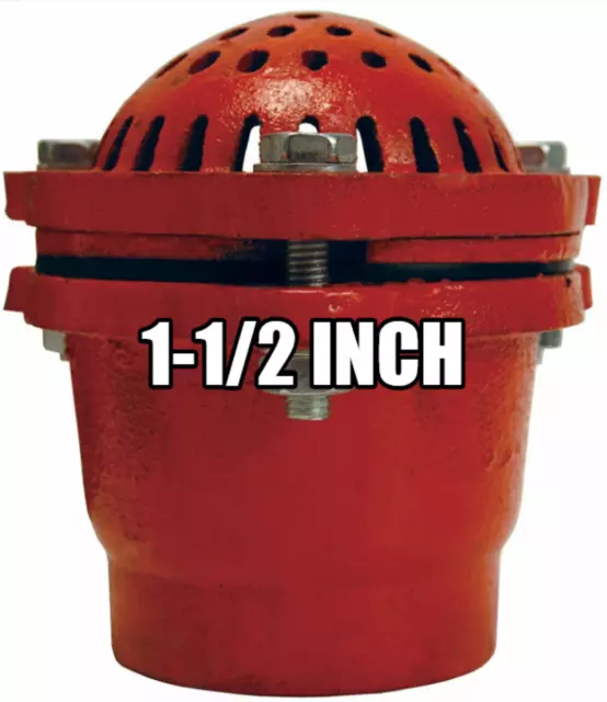 DIXON 1-1/2 inch Cast Iron Threaded Foot Valve - DFVS20