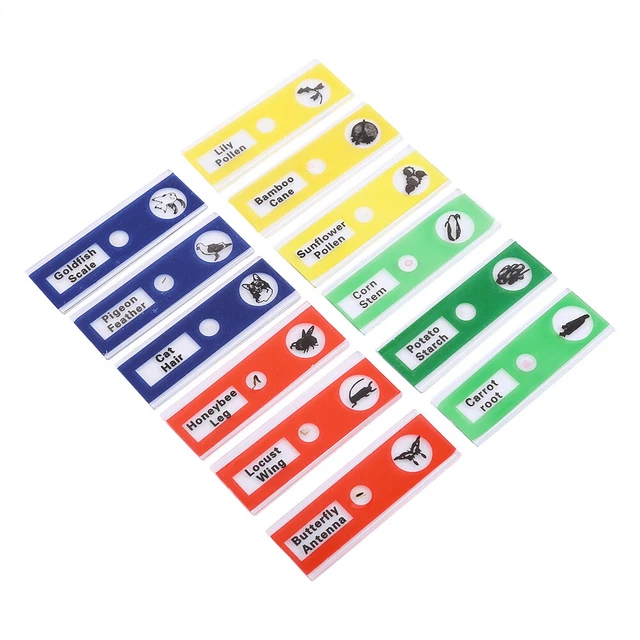 (5)Magic Lantern Slides Blank Microscope Slides Plastic For School For Learn