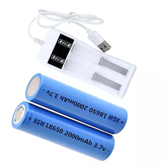 2PCS Rechargeable 3.7V 2000mah Flat Battery With Dual Battery Charger Universal