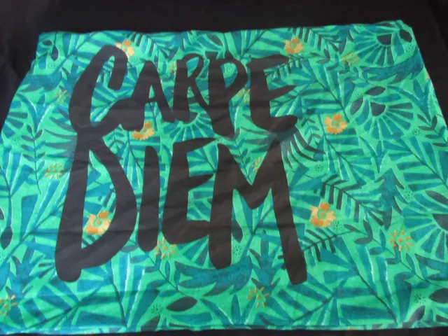 Xhilaration Carpe Diem Pillow Sham green new w/o pkg - one sham - #124 Xhilaration Carpe Diem Pillow Sham green new w/o pkg - one sham - #124