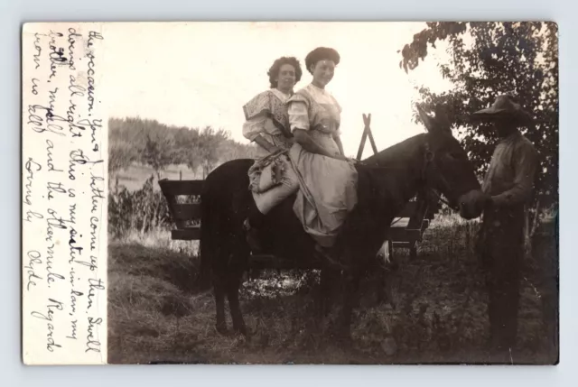 Postcard RPPC California Brooks CA Women Mule Great Note 1909 Posted