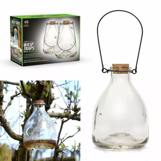 Glass Wasp Trap 2x Large Hanging Honey Pot Outdoor  & Fly Catcher Flies Insects