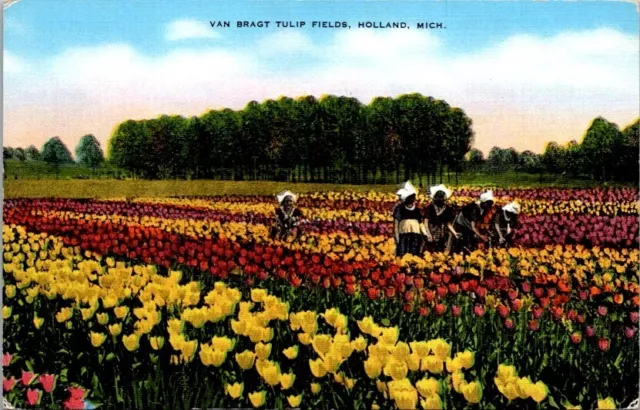 Postcard Girls Picking Tulips at Van Bragt Tulip Farm Holland Michigan MI   Y502