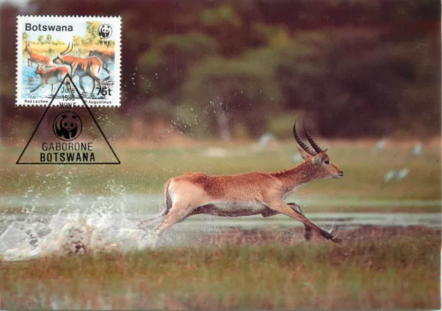E0008 WWF Maximum Card 1988 Fauna Animals Botswana Red Lechwe