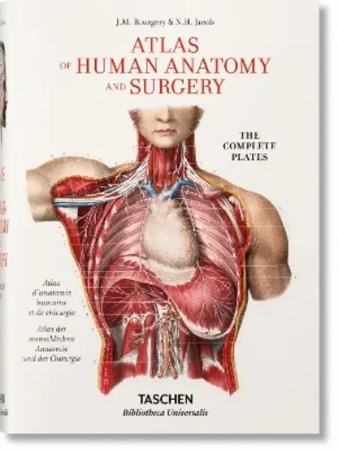 Jean-Marie Le Minor H Bourgery. Atlas of Human Anatomy an (Hardback) (US IMPORT)
