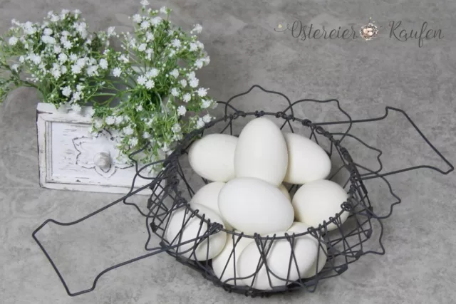 12 Gänseeier weiß leere ausgeblasene Natur Deko Eier Ostereier
