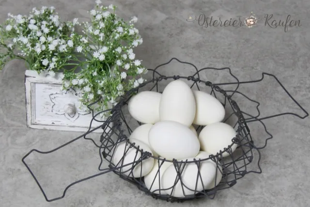 12 huevos de ganso blanco vacío soplado naturaleza decoración huevos de Pascua