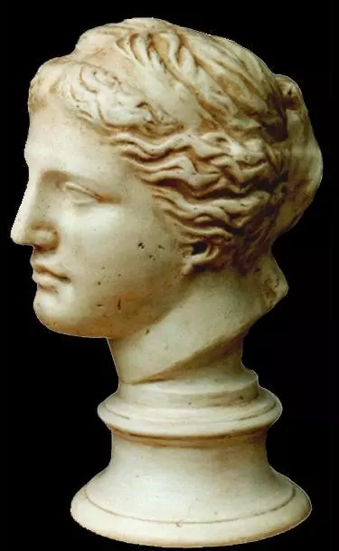 Greek Art Sculpture Home Decor Italian Bust Figurine Aphrodite Venus de'Milo 17"
