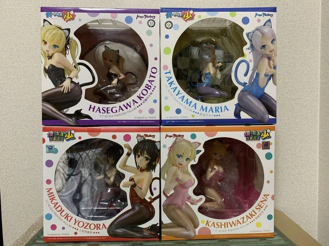 Dohave Many Friends Figure Cat Costume Kobato Maria Sena Night Sky