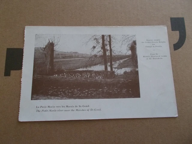 51  Le Petit Morin Vers Les Marais De Saint Gond  Marne  Guerre