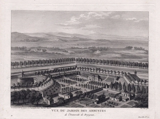 Perpignan université jardin Pyrenees-Orientales Occitanie gravure estampe 1786