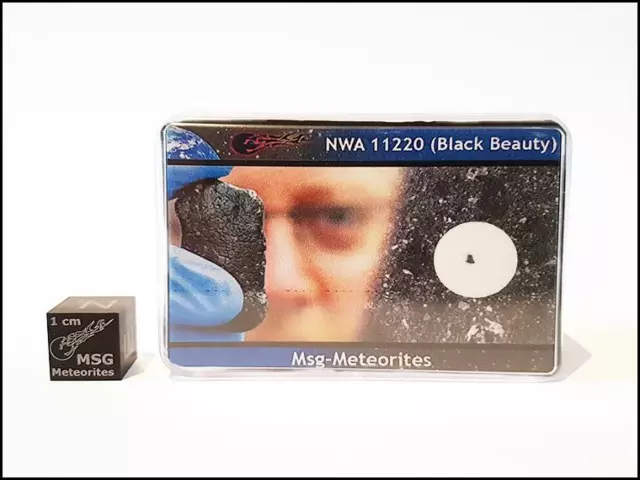 NWA 11220 Black Beauty Martian meteorite part slice display box *From Mars* M