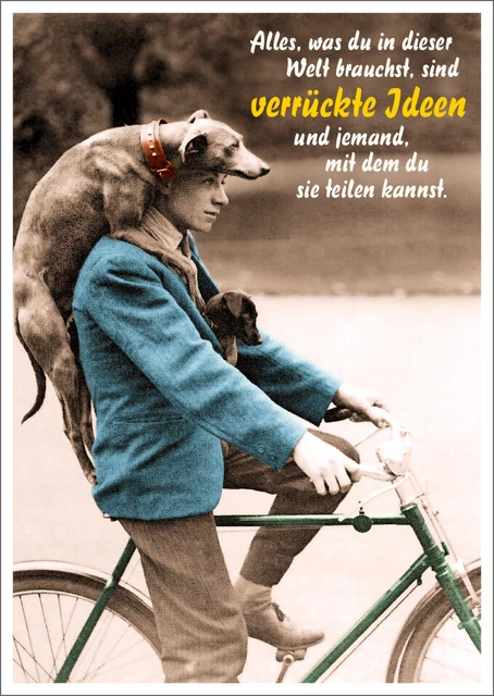 Postkarte Spruch witzig Alles, was du in dieser Welt brauchst, sind verrückte...