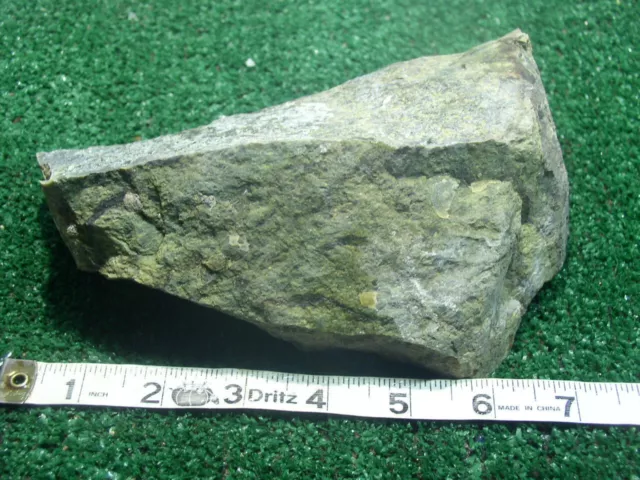 Lizard Serpentine Chunk 4  Pounds Lb Large rough