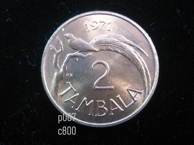 MALAWI 2 Tambala 1971 Paradise-Whydah Bird Gem UNC 2270# World Bank Money Coin