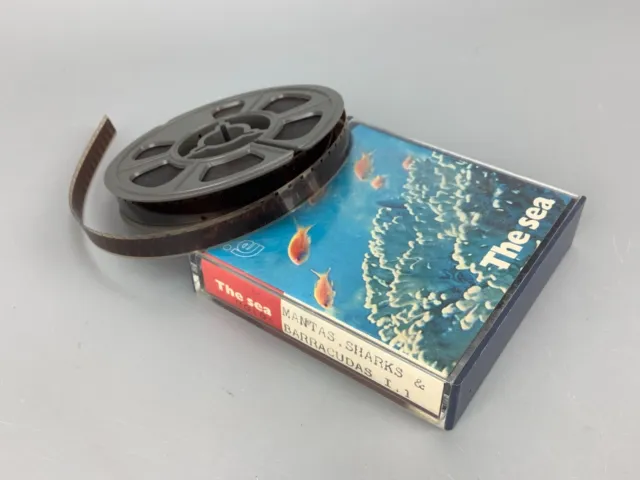 The Sea Vintage 8mm Super 8 Movie Colour