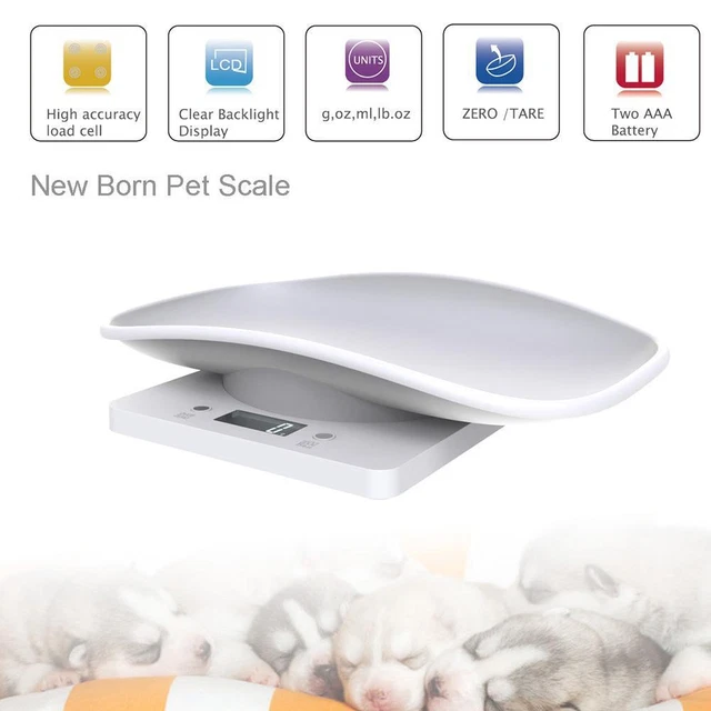Mini Digital Scale Electronic LCD Pet Weighing Scale High Precision Gram Scale