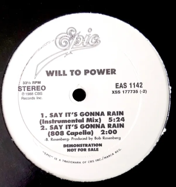 Will To Power - Say It's Gonna Rain - NM Vinyl - 12"