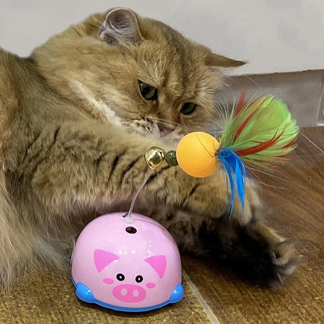 Interactive Cat Toys Cat Teaser Fun Playing Catch Cat Feather Wand Toy Kitty