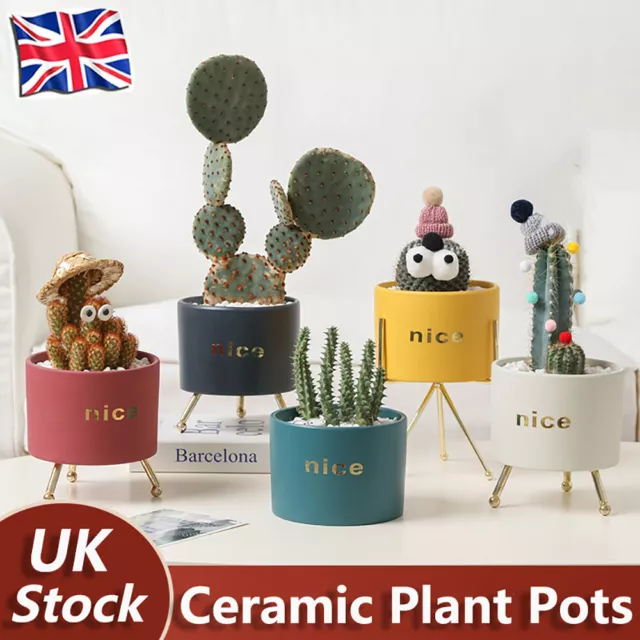 Small Ceramic Plant Pot Planter Flower Succulent Cactus Herb Holder Indoor Decor