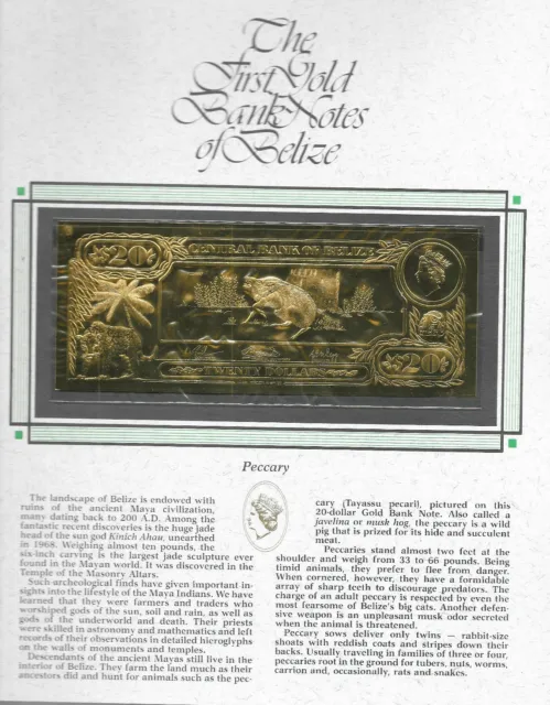 22kt Gold $20 Belize 1981 Banknote- PECCARY- RARE UNC