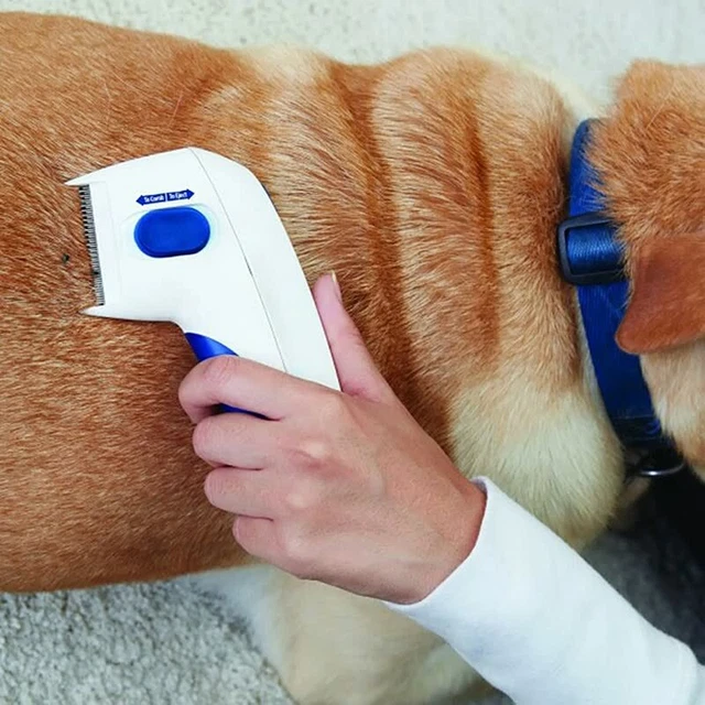 Electric Pet Flea Lice Cleaner Comb Dog Brush 2