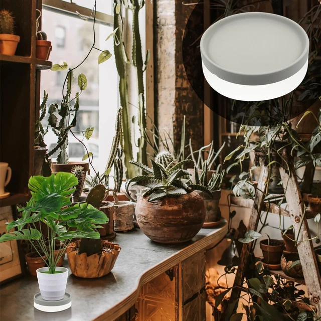 Plateau De Jardinière En Céramique Soucoupe Pot Fleur Pots Plantes Intérieur