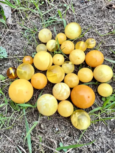 Amber stone Natural baltic Amber stone round collectors Genuine amber 55 g