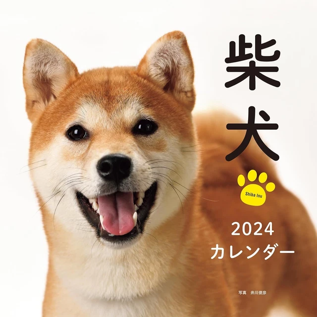 2024 CALENDAR SHIBA Inu Seibundo Shinkosha calendar Japan 53.01 PicClick