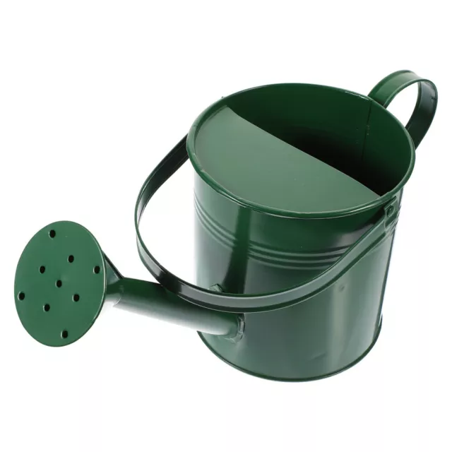 Metal Watering Can with Spray Spout for Indoor/Outdoor Plants and Gardening