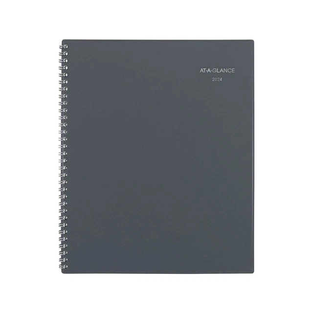ATAGLANCE PLAN WRITE Remember 2024 Weekly Monthly Appointment Book