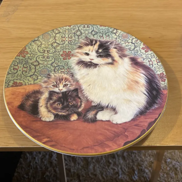 Royal Worcester Cats & Kittens plate Tortoishell, excellent condition