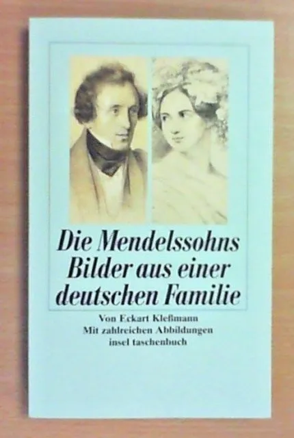 Die Mendelssohns von Eckart Klessmann (1993, Taschenbuch) Zustand Neuwertig