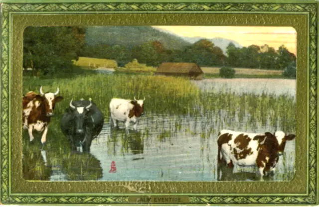 1900s postcard Country Life - Cattle paddling in a Scottish Loch at Eventide