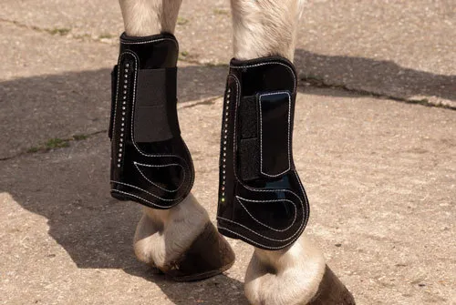 Rhinegold Patent/Crystal Horse/Cob sizes Tendon & Fetlock Boot Set