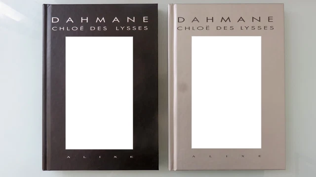 DAHMANE : CHLOË Des Lysses 1&2 EUR 300,00 - PicClick FR