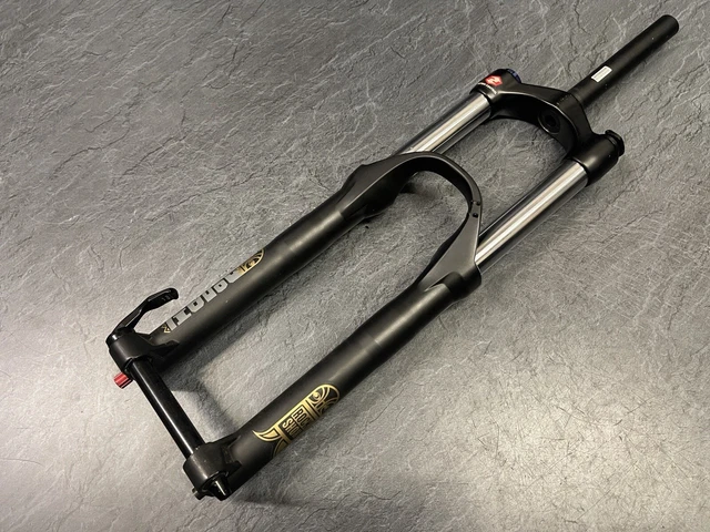 Rockshox domain online 302 coil