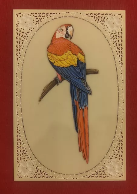 Handmade Parrot Bird Finest Indian Art Traditional Intricate Miniature Painting